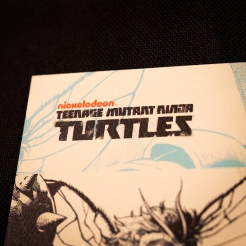 Teenage Mutant Ninja Turtles Art Print Comic Limited Edition 42 x 30 cm
